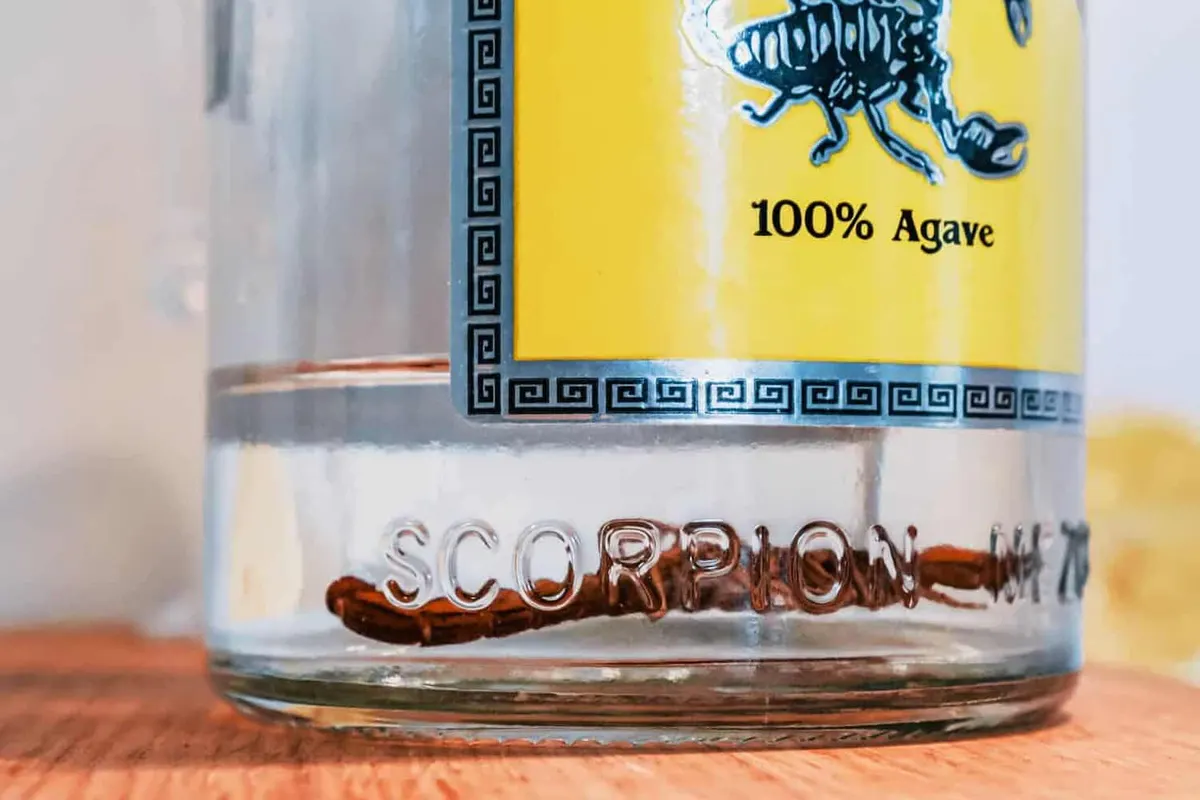 Scorpion Tequila