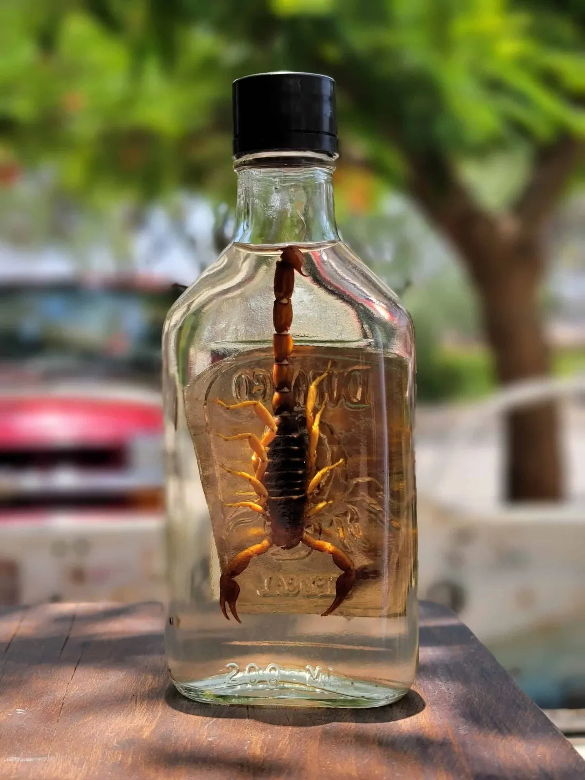 Why do they put a scorpion in tequila