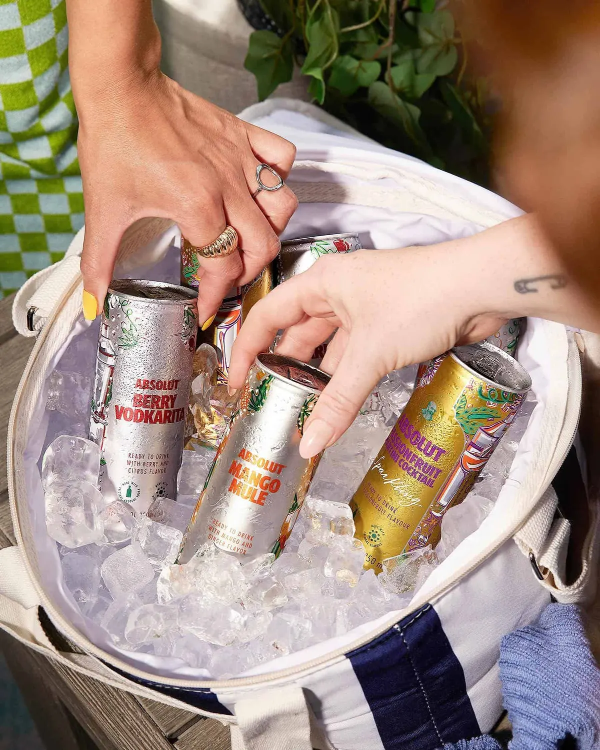 Absolut Canned Cocktails